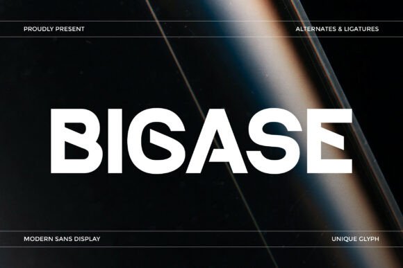 Bigase: A Designer's Honest Review for Real-World Projects